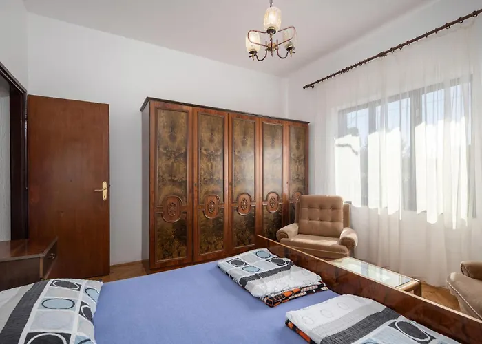 Pet Friendly Novi Vinodolski