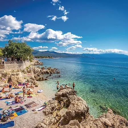 Pet Friendly Novi Vinodolski