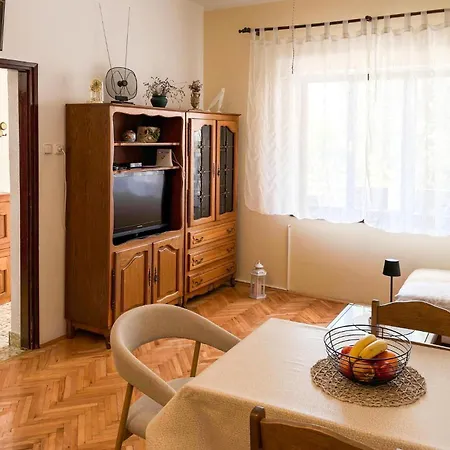 Acceptant Les Animaux Domestiques à Appartement *