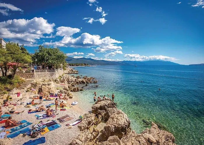 Pet Friendly 诺维·维诺多尔斯基