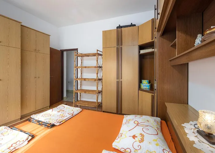 Pet Friendly * 诺维·维诺多尔斯基