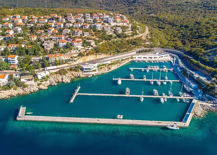 Pet Friendly 诺维·维诺多尔斯基