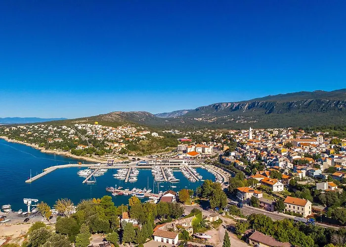 Pet Friendly 诺维·维诺多尔斯基