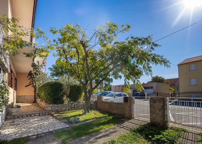 Pet Friendly 诺维·维诺多尔斯基